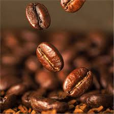 Organic Coffee Beans